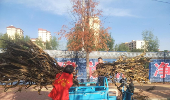 内乡县：筑牢秸秆禁烧“防火墙” 打赢秋冬季大气污染防治攻坚战