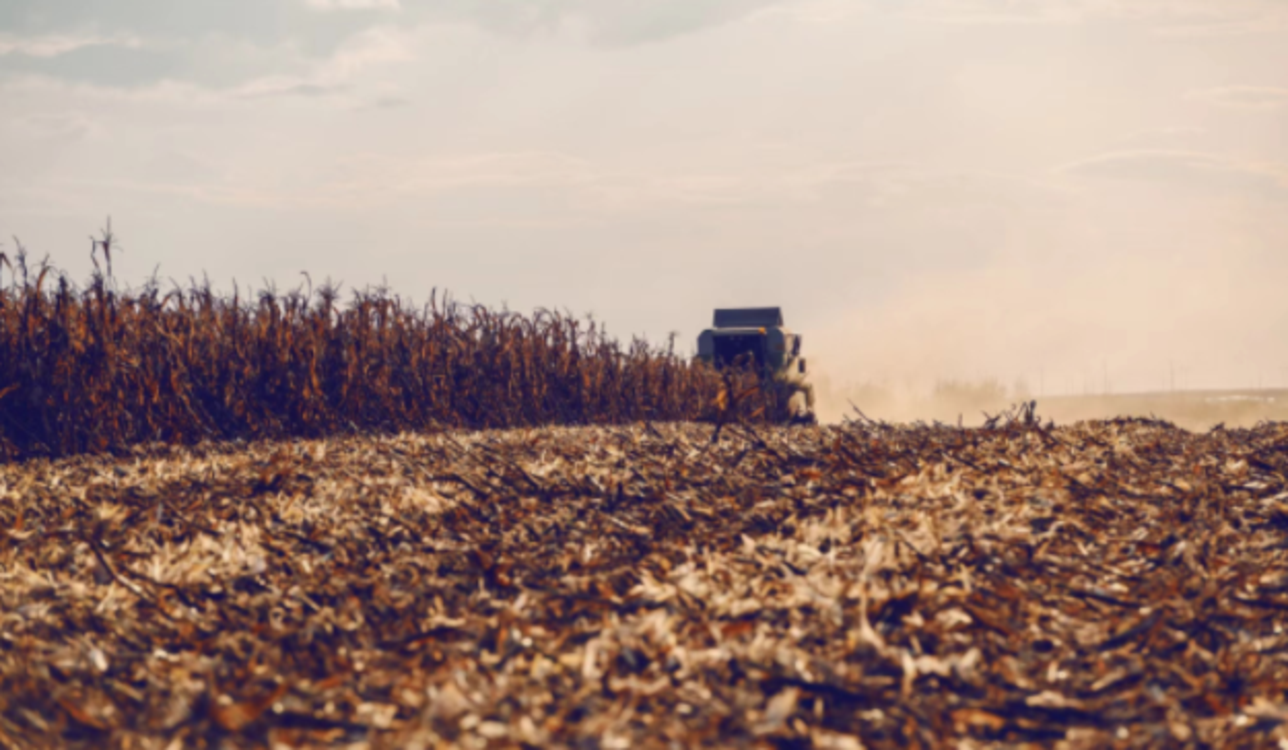 河南省秋作物已收获9593万亩