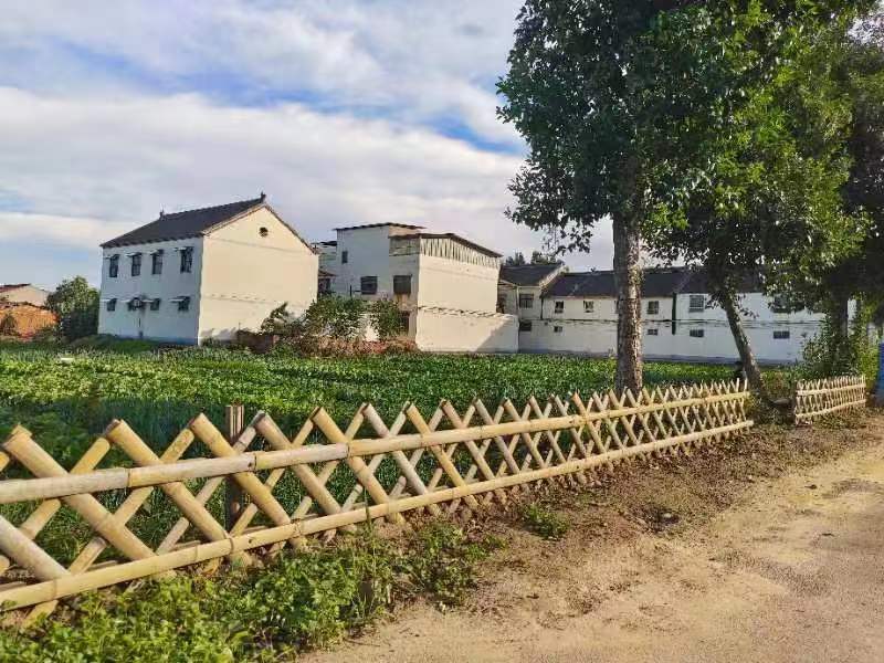 河南济源小小竹篱笆扮靓乡村新颜值