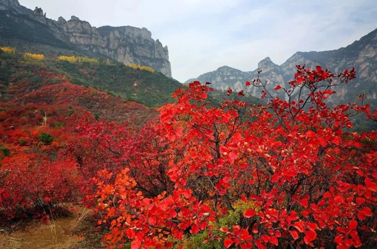和秋天一起去旅行，在太行大峡谷追寻专属于秋日的浪漫