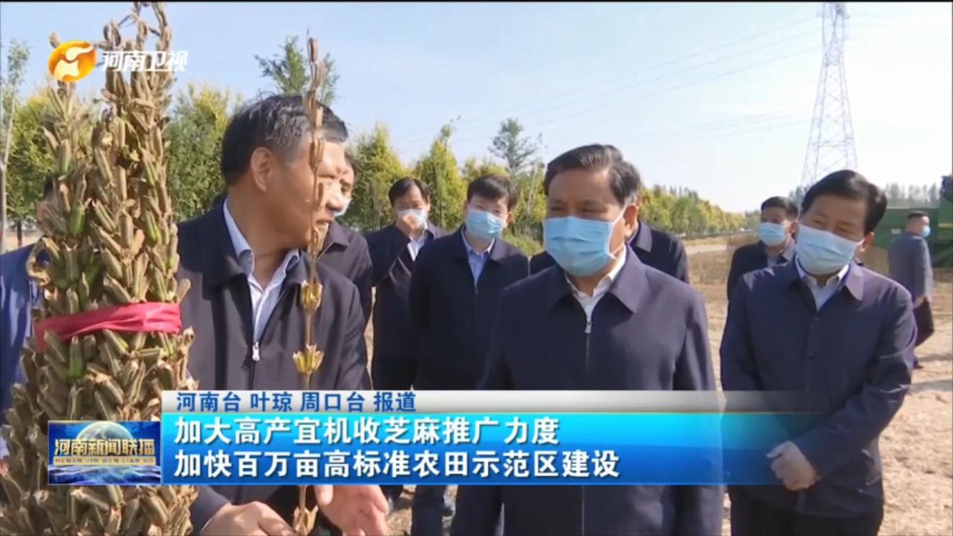 加大高产宜机收芝麻推广力度 加快百万亩高标准农田示范区建设