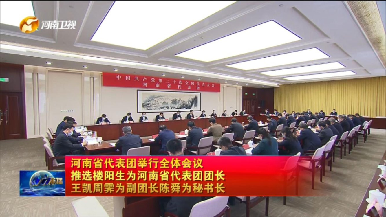 【视频】河南省代表团举行全体会议
