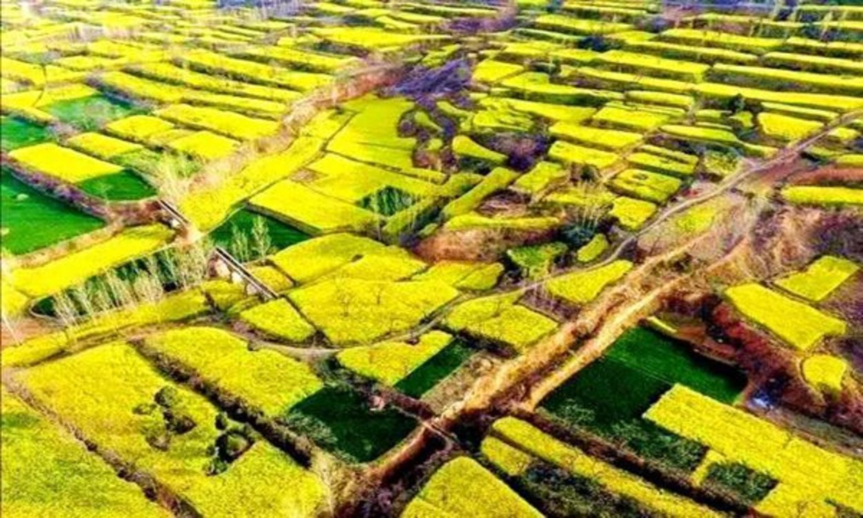 非凡十年 出彩许昌丨青山绿水 绘就襄城诗意栖居“新画卷”