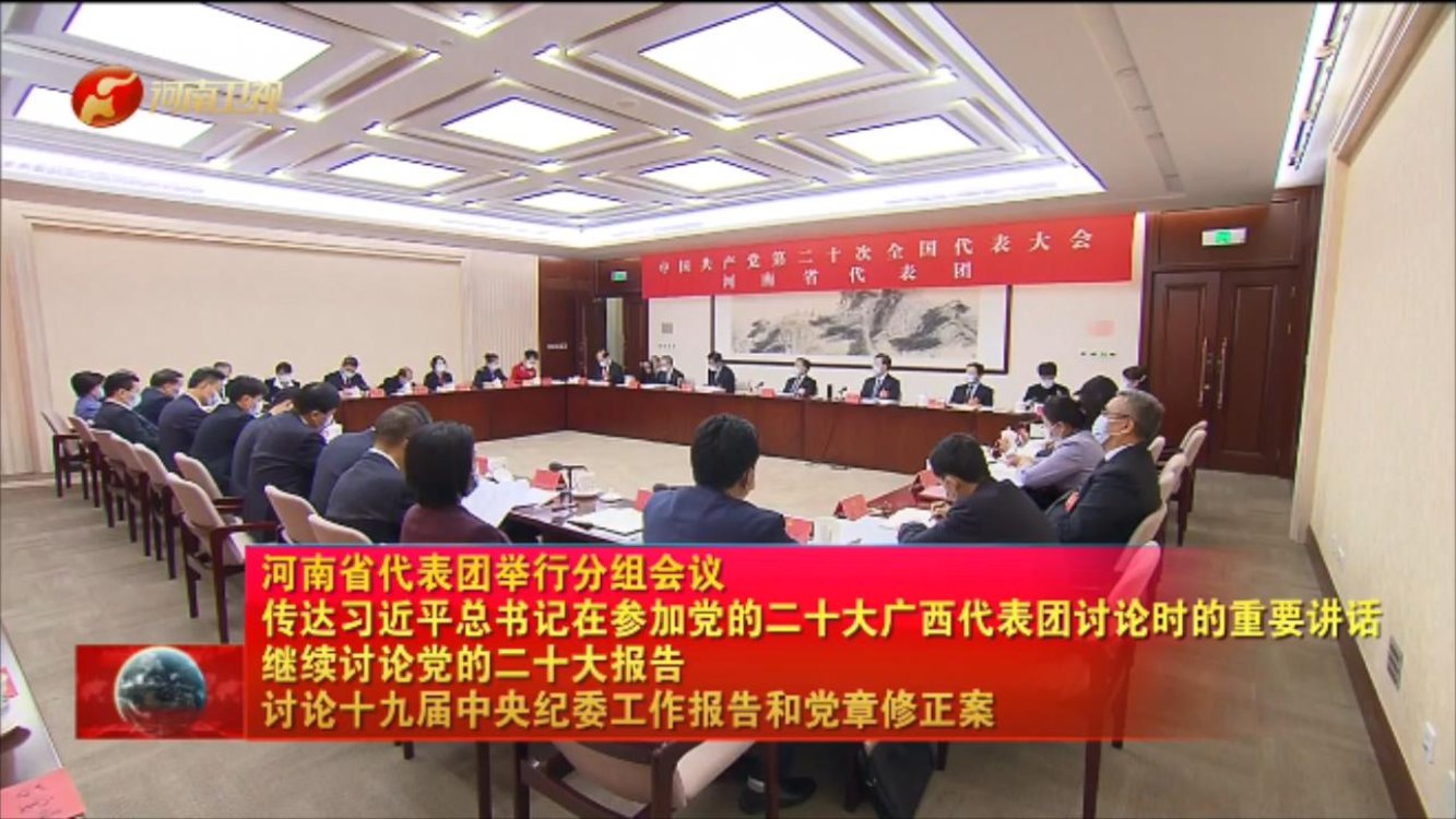 视频 | 河南省代表团举行分组会议