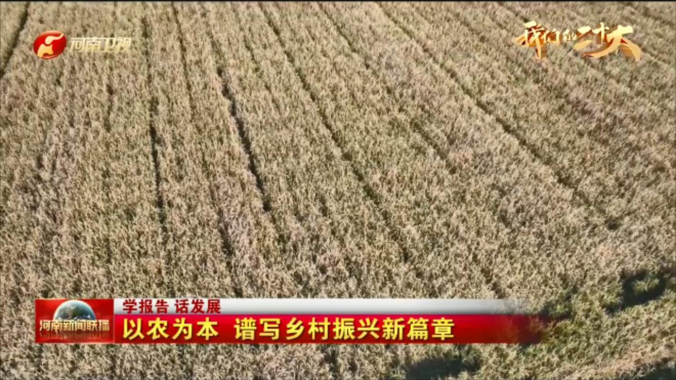 【我们的二十大·学报告 话发展】以农为本 谱写乡村振兴新篇章