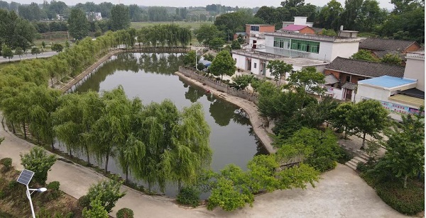 信阳市光山县白雀园镇扎实推进五星支部创建汇聚乡村振兴星能量