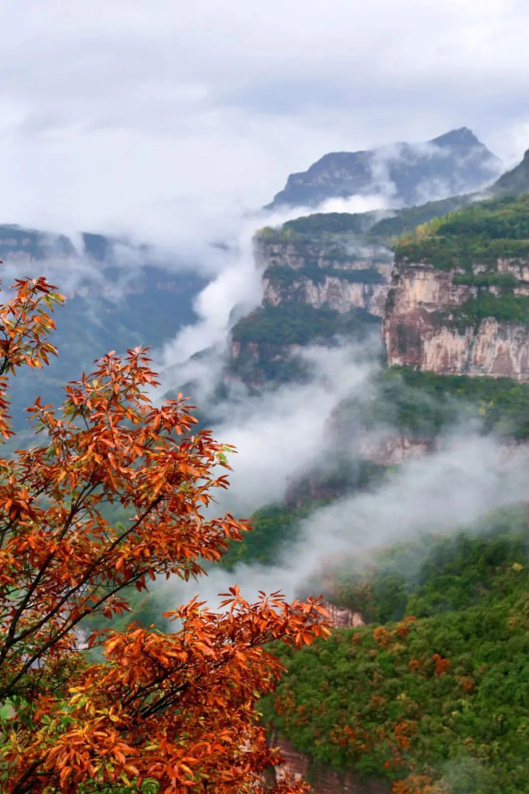 十月的太行大峡谷秋色美如中国画，令人着迷！
