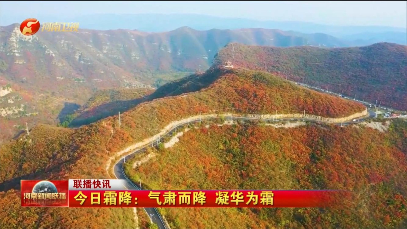 今日霜降：气肃而降 凝华为霜