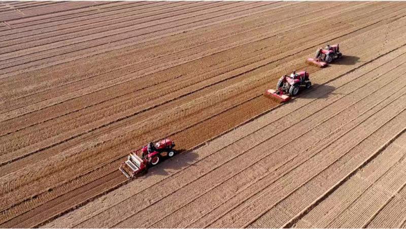 河南省小麦已播种7476万亩