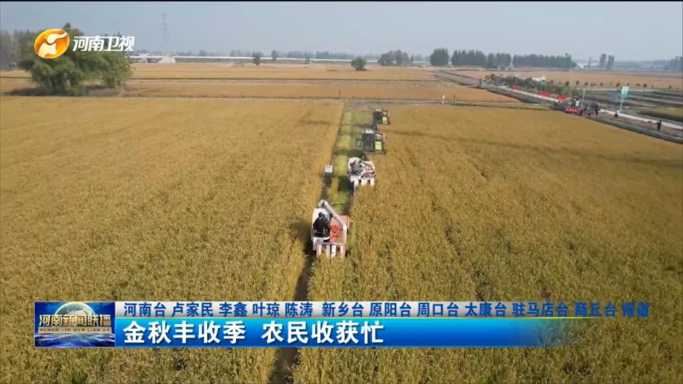 金秋丰收季 农民收获忙