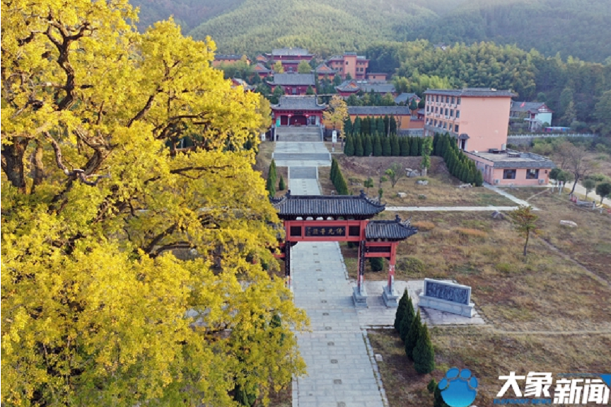 清晨 在信阳黄柏山邂逅最美的秋色