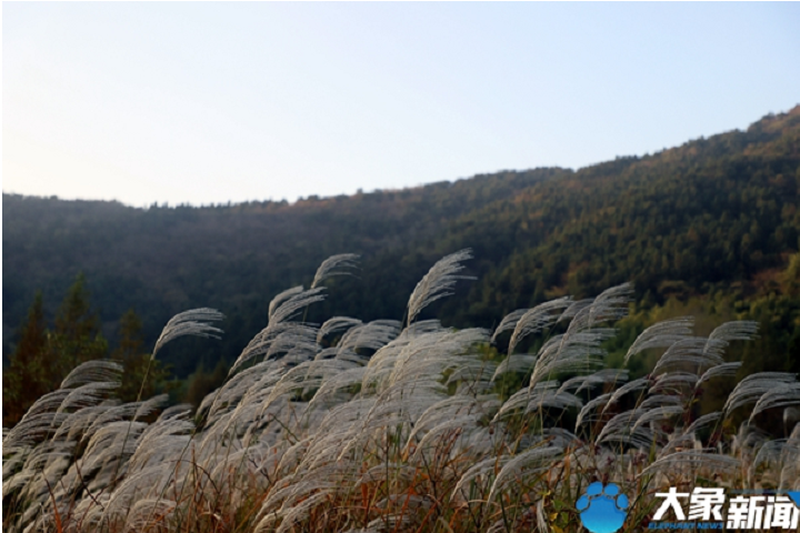 清晨 在信阳黄柏山邂逅最美的秋色