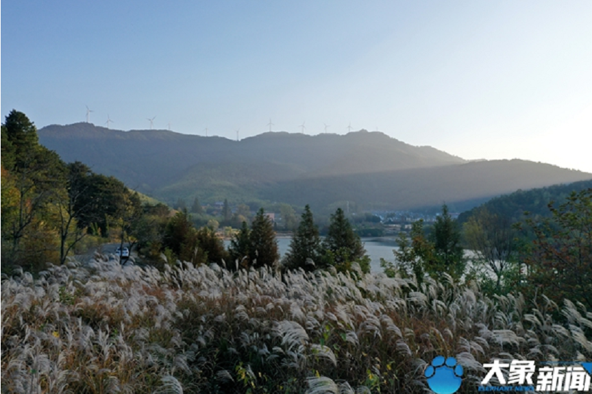 清晨 在信阳黄柏山邂逅最美的秋色