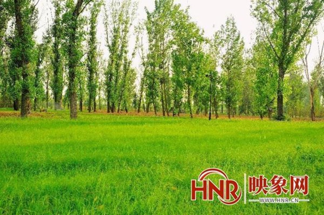 以党的二十大召开为契机，加速实现河南绿色低碳转型