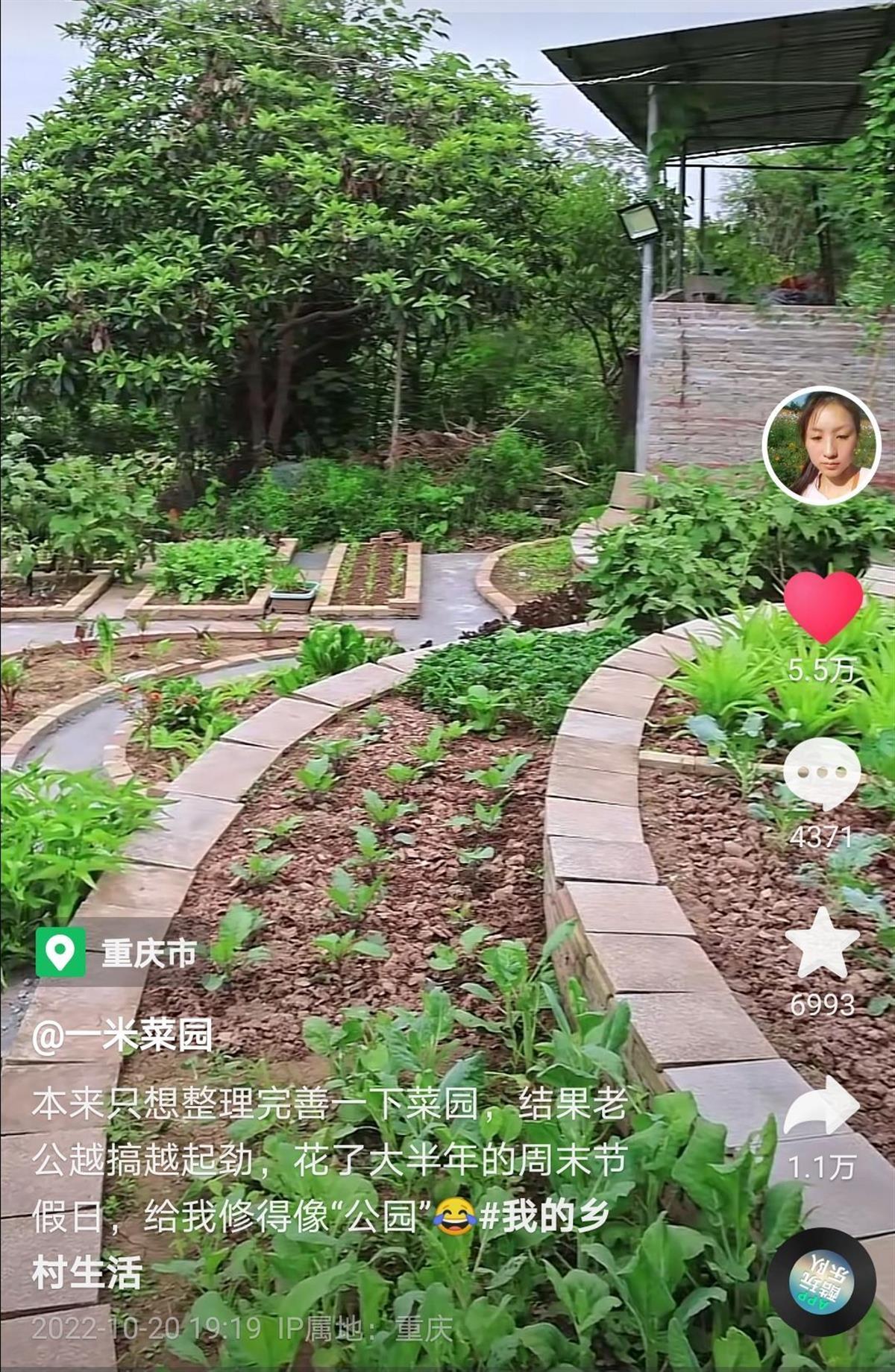 重庆男子花半年改造出“公园式菜地”，妻子：长年不愁菜吃，干活心情舒畅