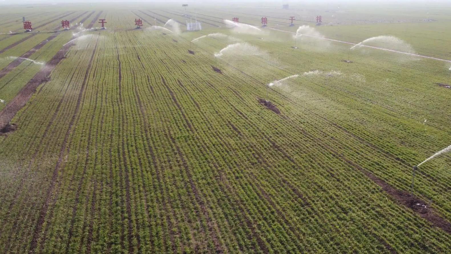 河南加快推进灌区现代化改造 助推全省粮食持续丰产
