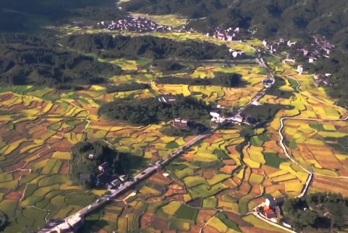 学习贯彻党的二十大精神：凝聚奋进力量 创造新的伟业