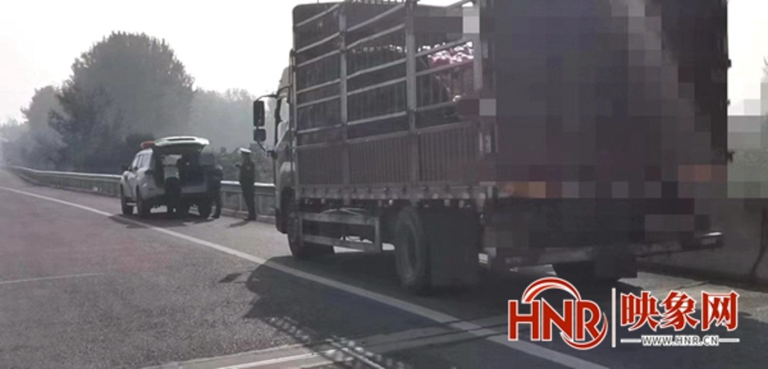 收费站近在咫尺竟违停应急车道“养神”  货车司机被处罚