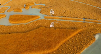 每一幀都是壁紙！1分鐘看遍中國濕地絕美四季