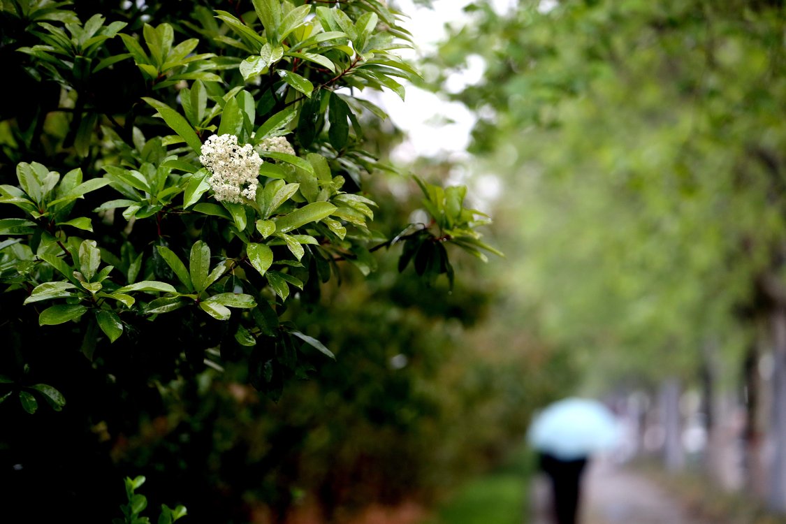 信阳向全球推介“未来人居、美好生活”名片