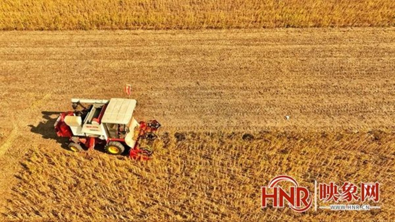 全方位夯实粮食安全根基