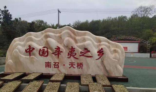 南召县：特色产业照亮“满天繁星”