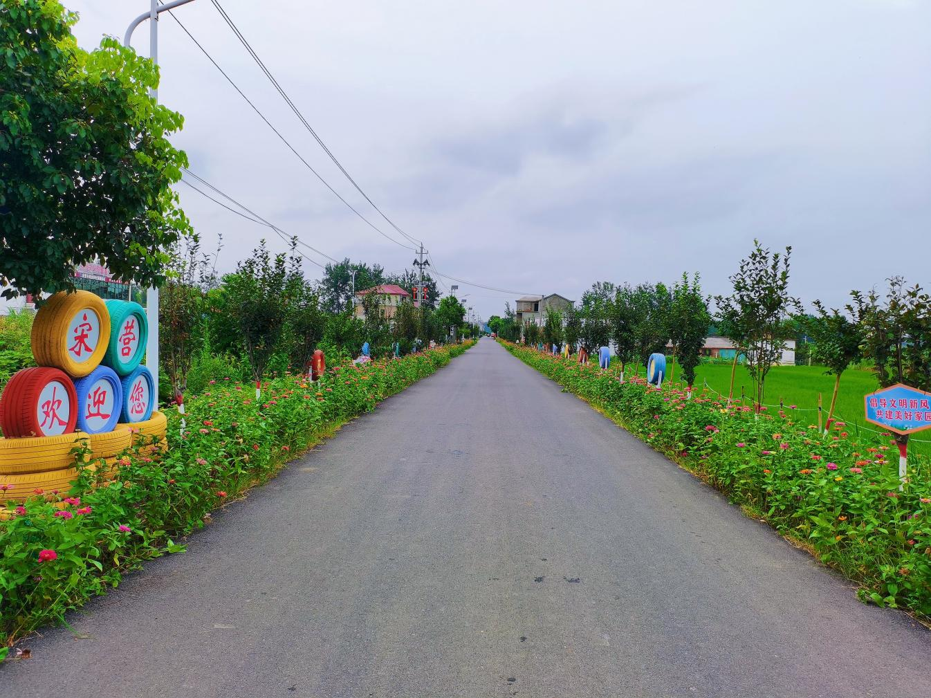 淮滨县王店乡抓实五星支部创建凝聚基层治理合力