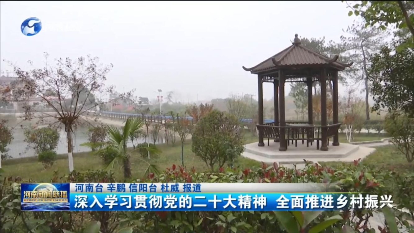 深入学习贯彻党的二十大精神 全面推进乡村振兴