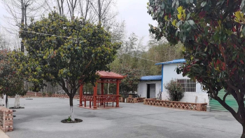 南召县板山坪镇：“四大行动”改善人居环境 绘就乡村振兴美丽底色