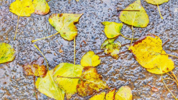 注意保暖！小到中雨+大风降温进行中……