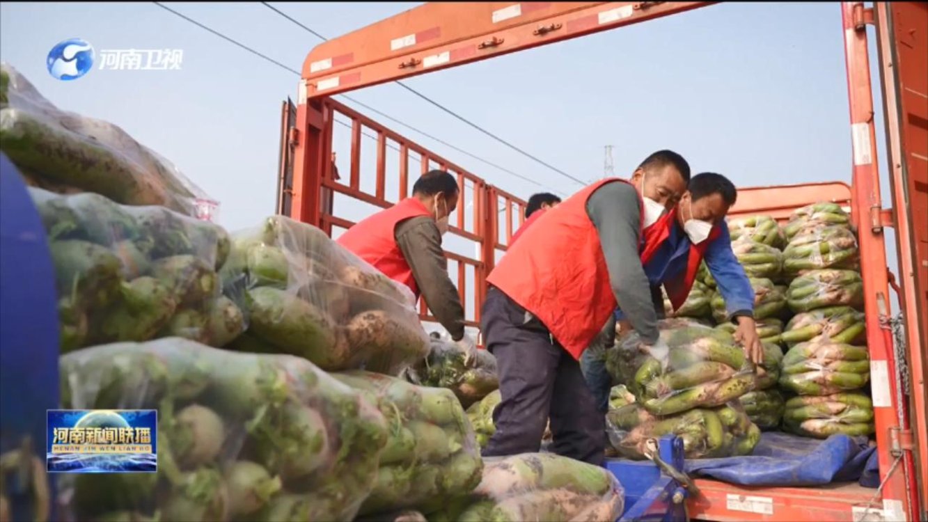【关爱你我他（她）·温暖千万家】河南各地多措并举 打通蔬菜销售“绿色通道”