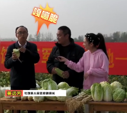 河南省商务厅多措并举开展蔬菜促销助农工作