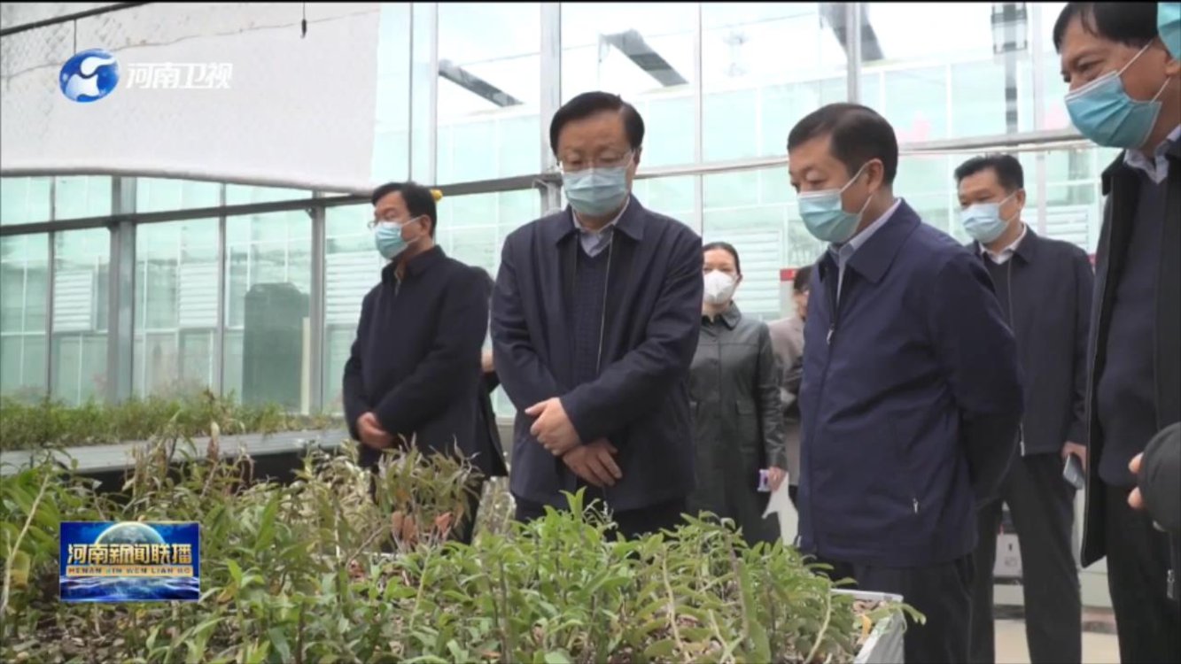 深入贯彻党的二十大精神 全面推进乡村振兴