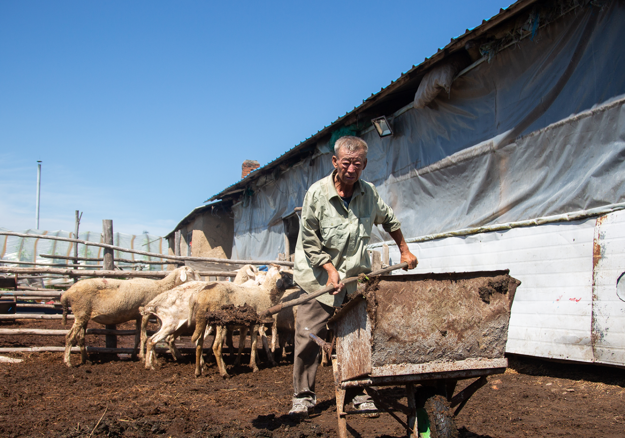 七旬爷爷身兼两职救3岁患癌孙子