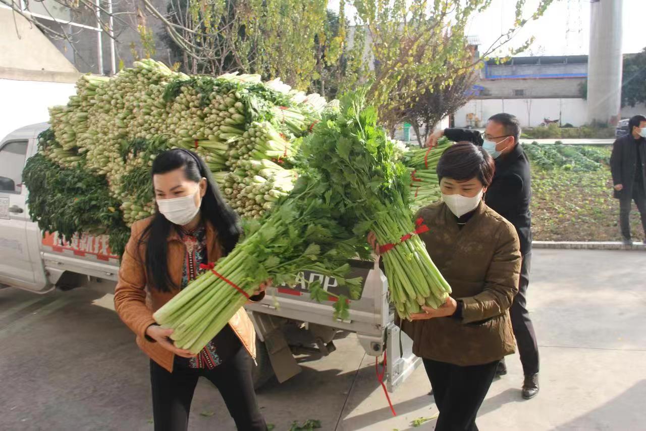 口罩15万只,消毒液3000瓶,全部无偿捐送到项城市新桥镇商水县胡吉镇