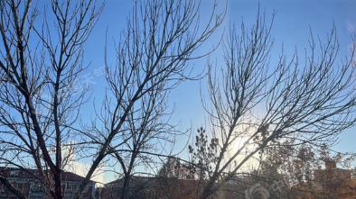 @河南人 点击查看多股冷空气的行程安排！