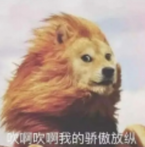 大风呼呼吹啊吹啊我的骄傲放纵