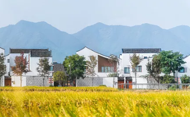 在中国式现代化进程中全面推进乡村振兴