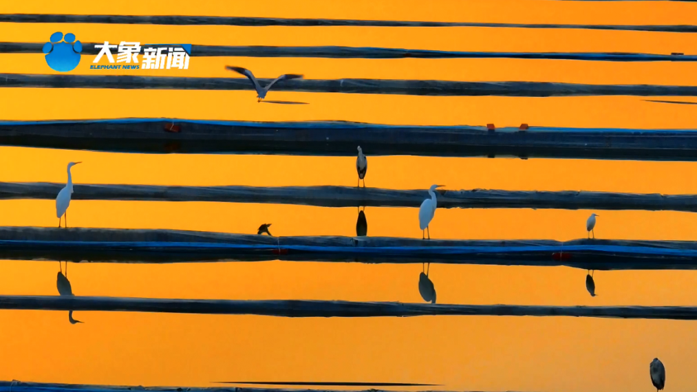 美丽河南·冬｜河南桐柏：落日衔远山 飞鸟相尽欢