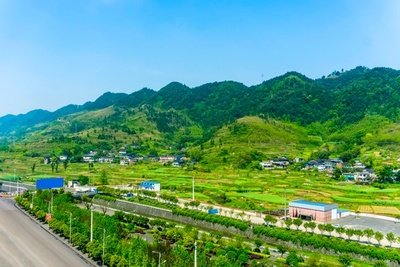 乡村振兴战略视角下的县域发展