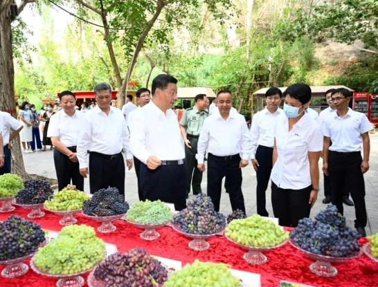 这一年，总书记为他们点赞鼓劲！