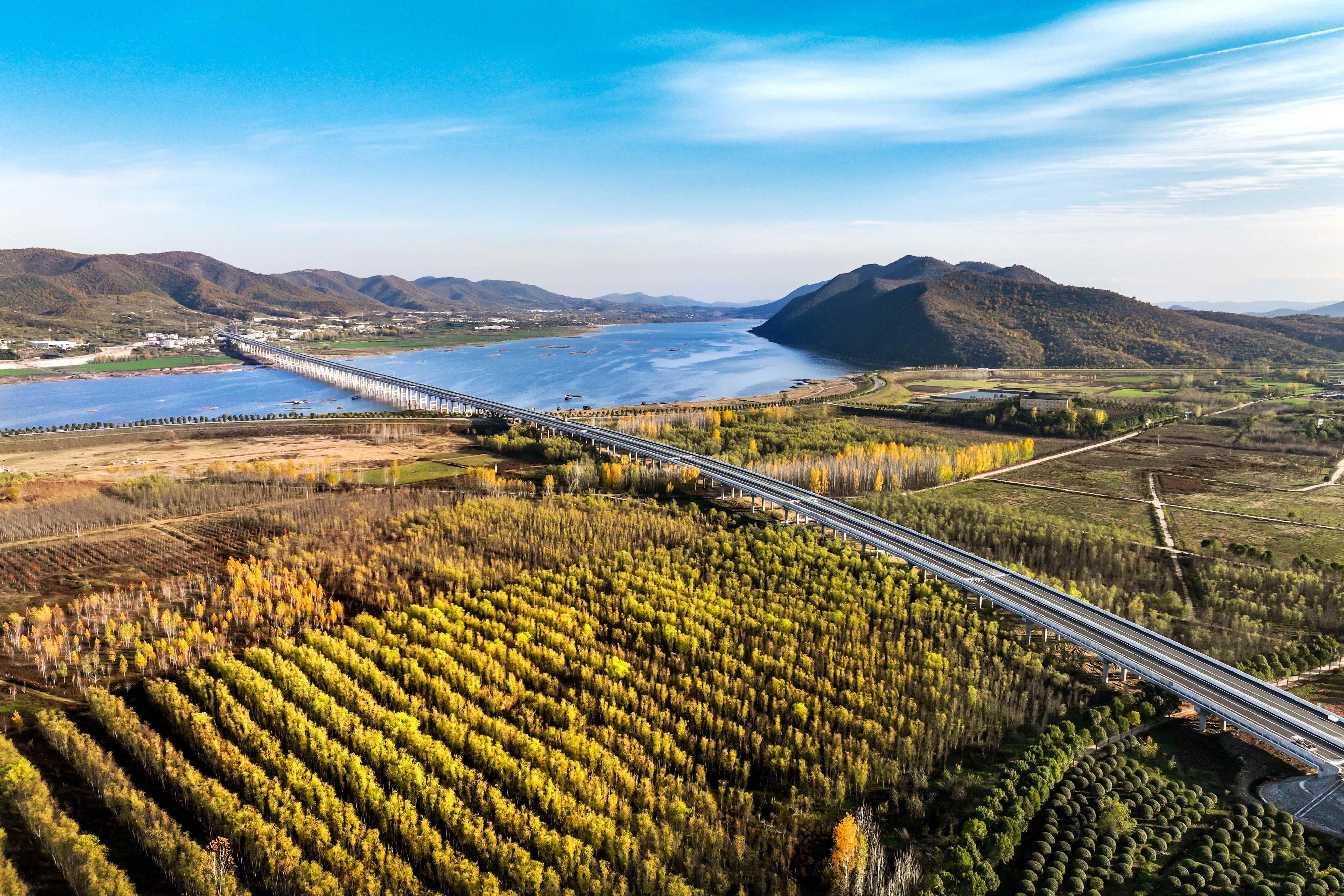 河南这14条高速集中建成通车后 他们这么说-大象网