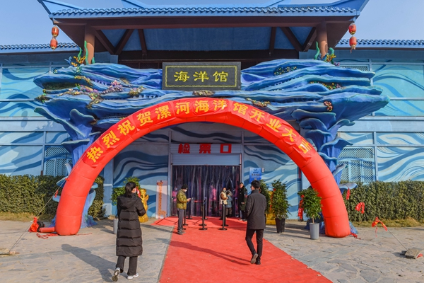 海洋生物500多种万余条漯河市首家海洋馆惊艳亮相