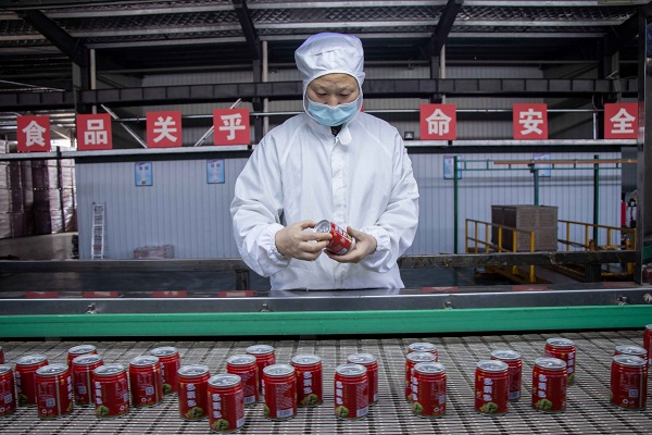 信阳多栗多食品板栗深加工春节生产忙