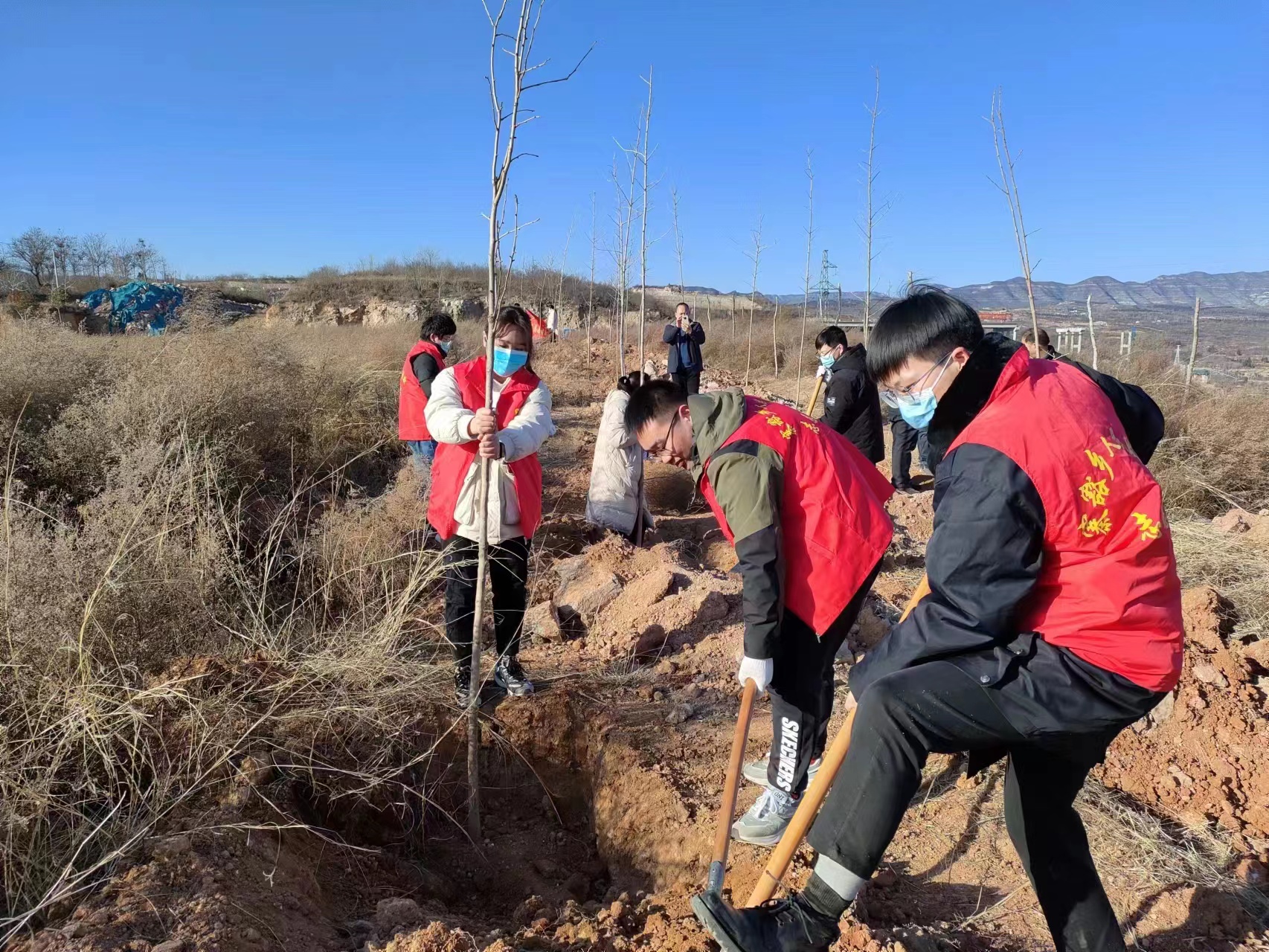 春风拂沃野植绿正当时博爱县寨豁乡开展义务植树活动