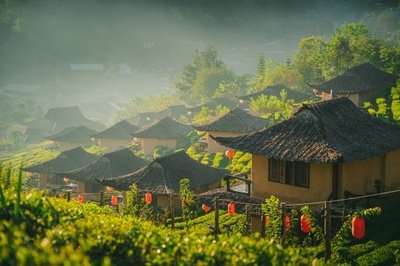统筹发力建设宜居宜业和美乡村