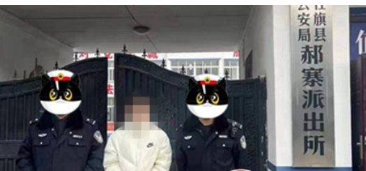 社旗警方连续抓获7名逃犯