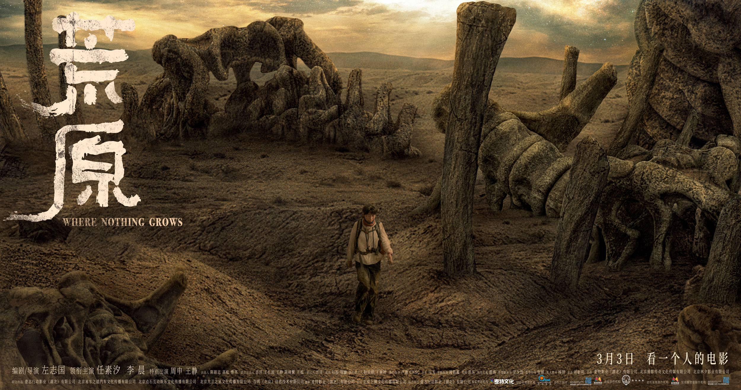 首页>原创>正文>由左志国担任编剧,导演,任素汐,李晨领衔主演的电影