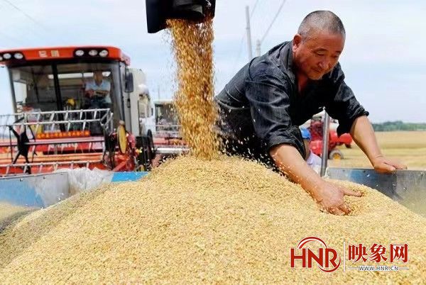 长垣市粮食和物资储备局抓好粮食生产 保障粮食安全