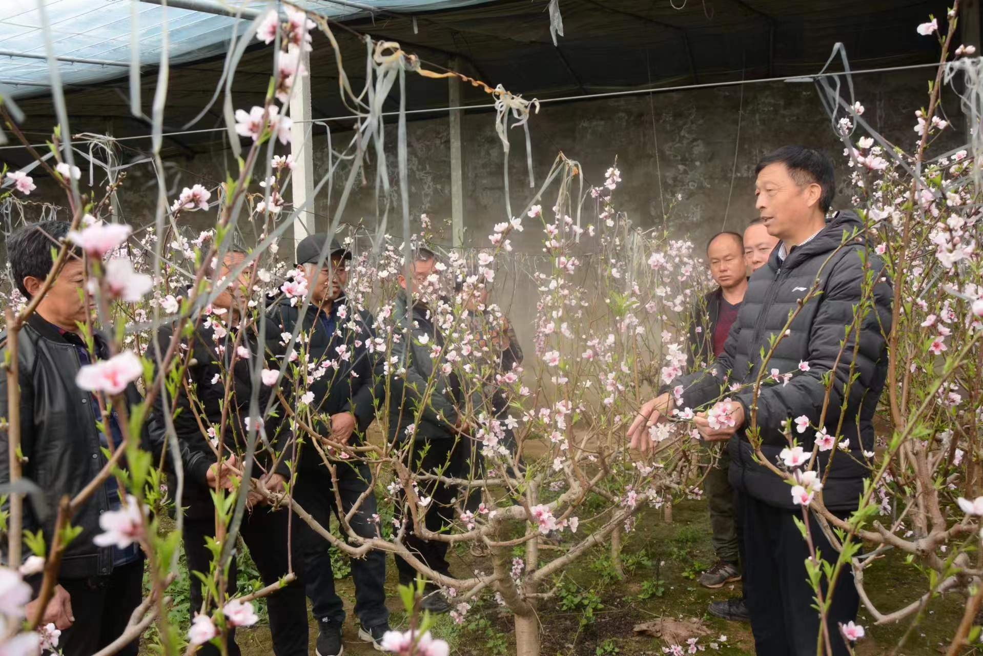 内黄县劳模工作室开展助农培训
